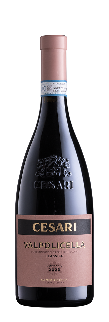 Valpolicella Classico Cesari 2023 bottiglia vino