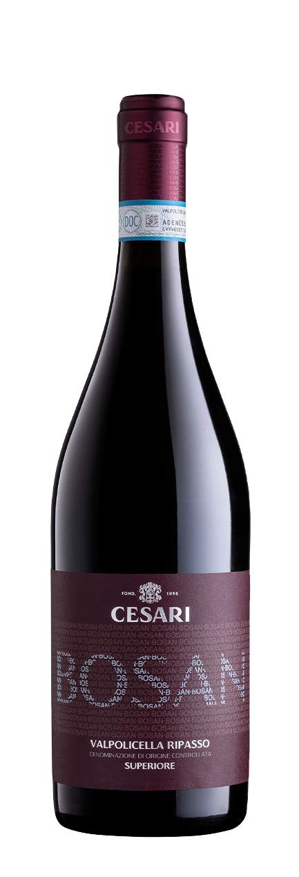 Valpolicella Ripasso Superiore Cesari Bosan