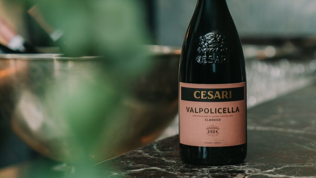 Valpolicella Classico freddo _Valpolicella Classico chilled_close-up shot of a valpolicella classico cesari wine, with black bottle, embossed emblem on its surface, pink label and a blurred plant in forefront. The bottle stands on a dark marble surface beside a metallic ice bowl